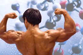 How To Use Peptides For BUILDING MUSCLE